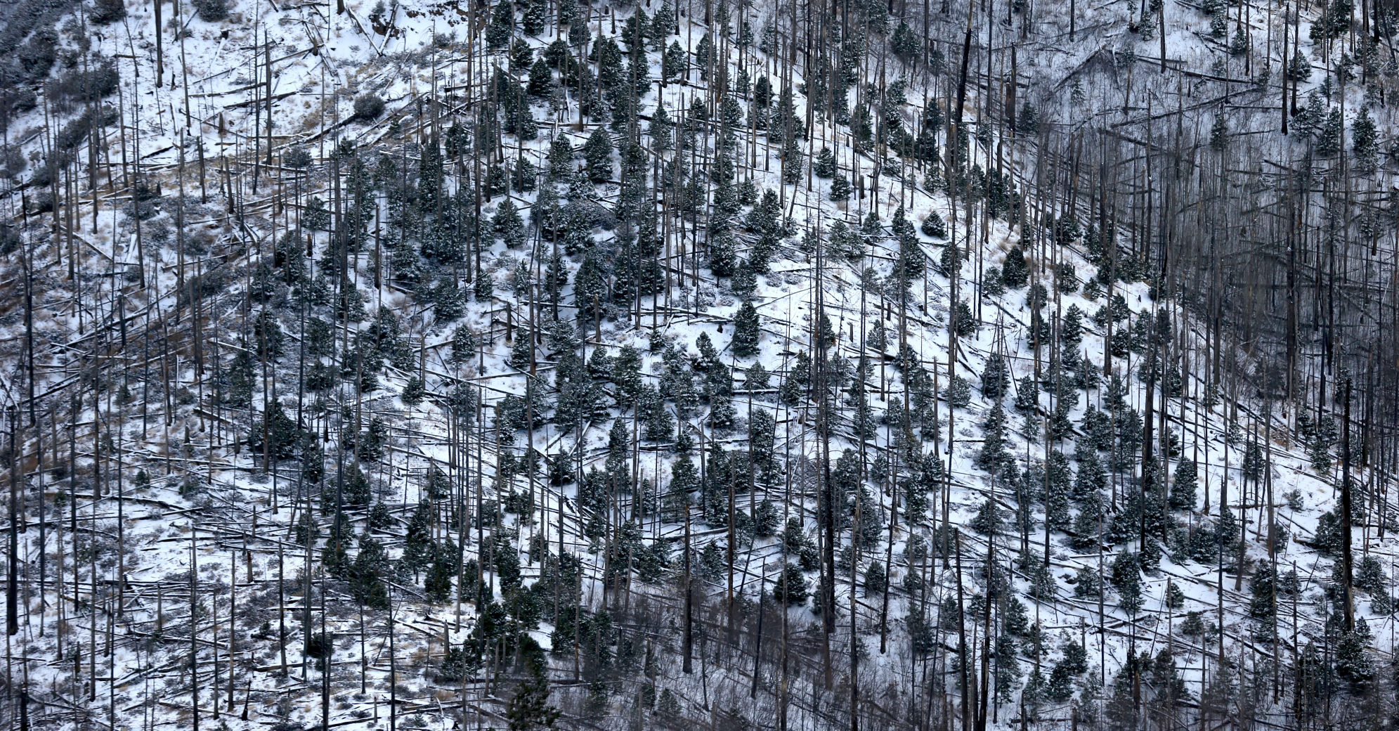 Winter weather